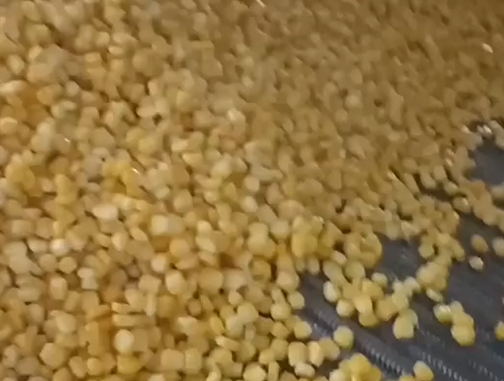 Quick frozen corn kernels